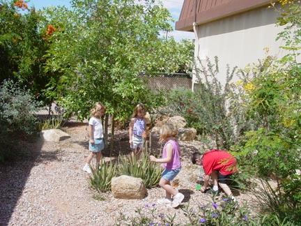 school garden5