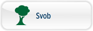 Svob