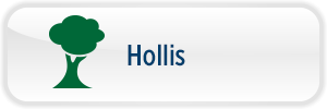 hollis