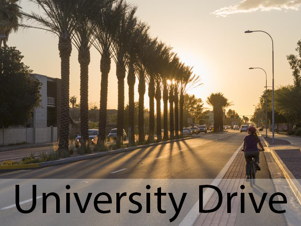 University Drive Streetscape