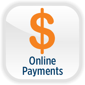 Online Payments