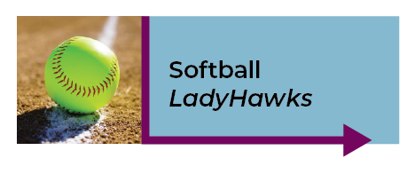 LadyHawks