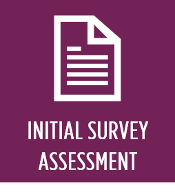 Initial Survey Assessment Button