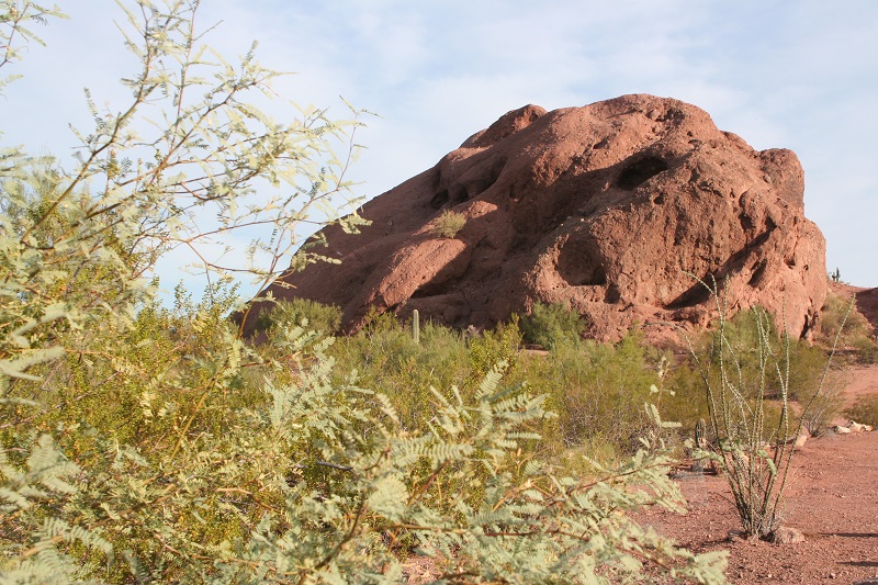 Rock formations at Papago Park