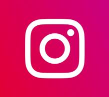 Insta Logo