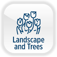 Neighborhood Grants Landscape Button