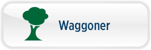 ParkButton- Waggoner