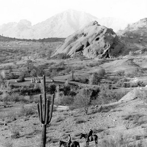 papago preserve button