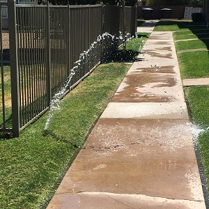 Water Waste on sidewalk