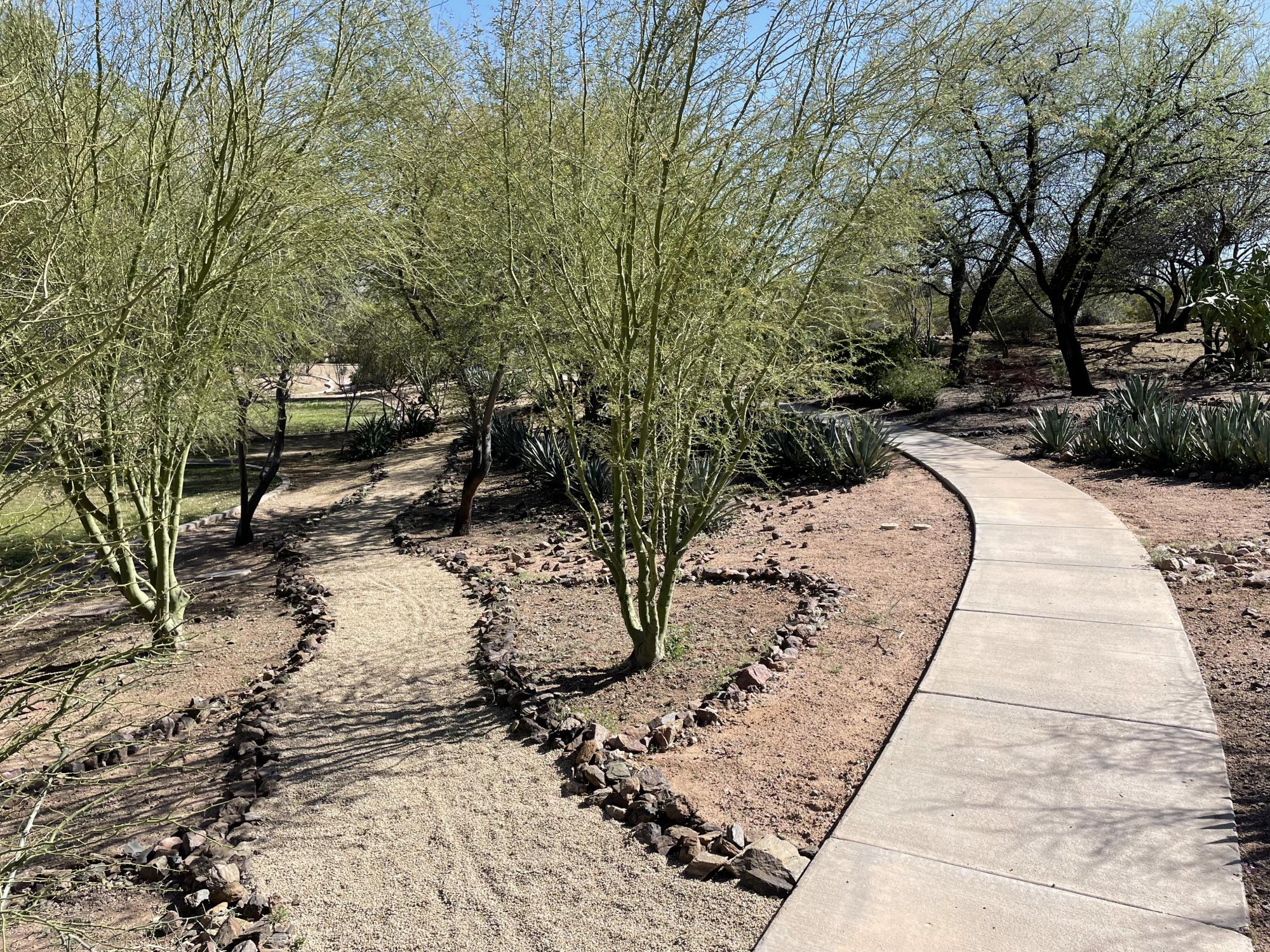 TWC dirt path and walkway