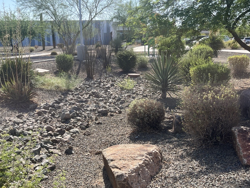 Bioretention area with bioswale