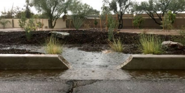 Curb Cut with water flowing into it