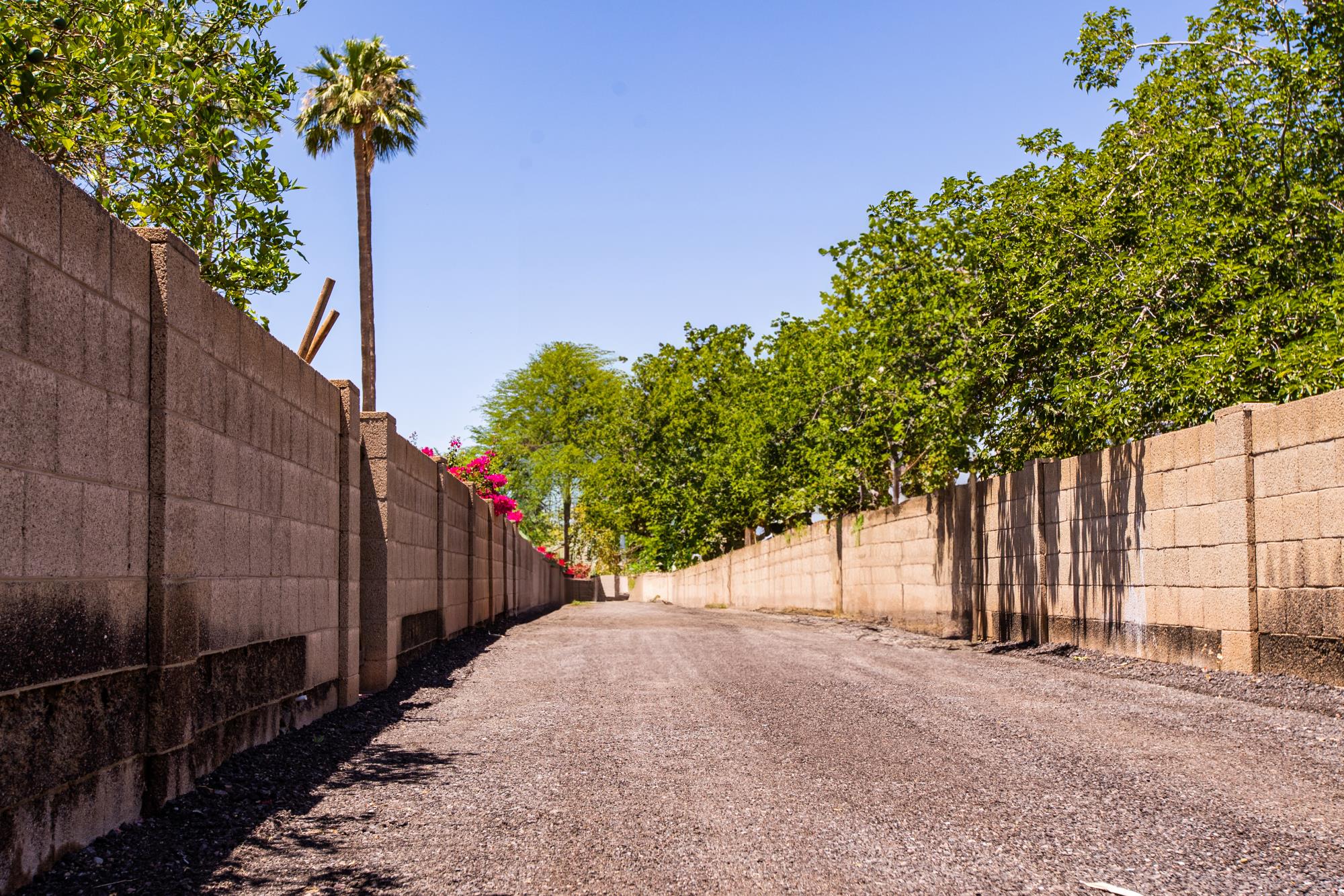 clean alley