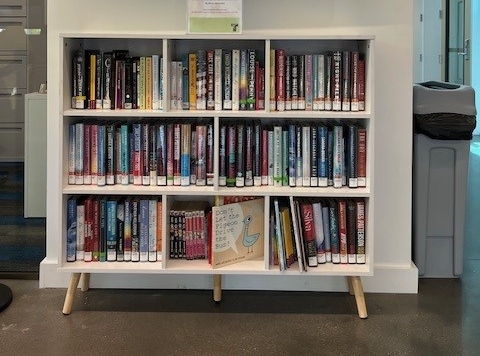 image of a white bookshelf full of books