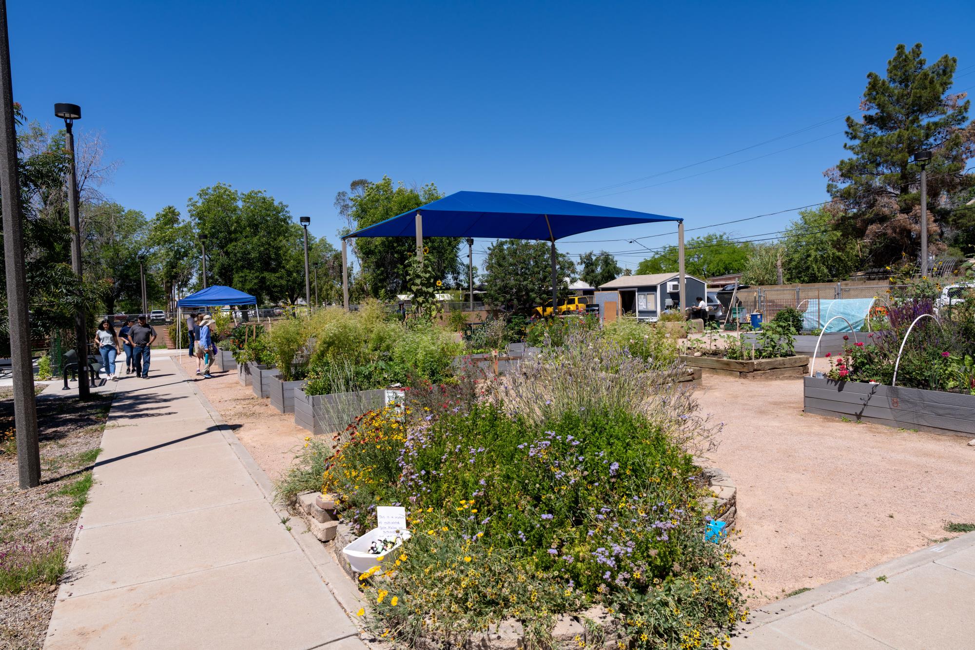 Image of the Clark Park Community Garden